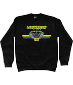 Leeuwarden - 058 - Sweater Ultras Culture