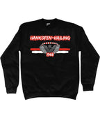Hankofen-Hailing - 1968 - Sweater Ultras Culture