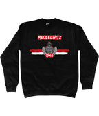 Meuselwitz - 1948 - Sweater Ultras Culture