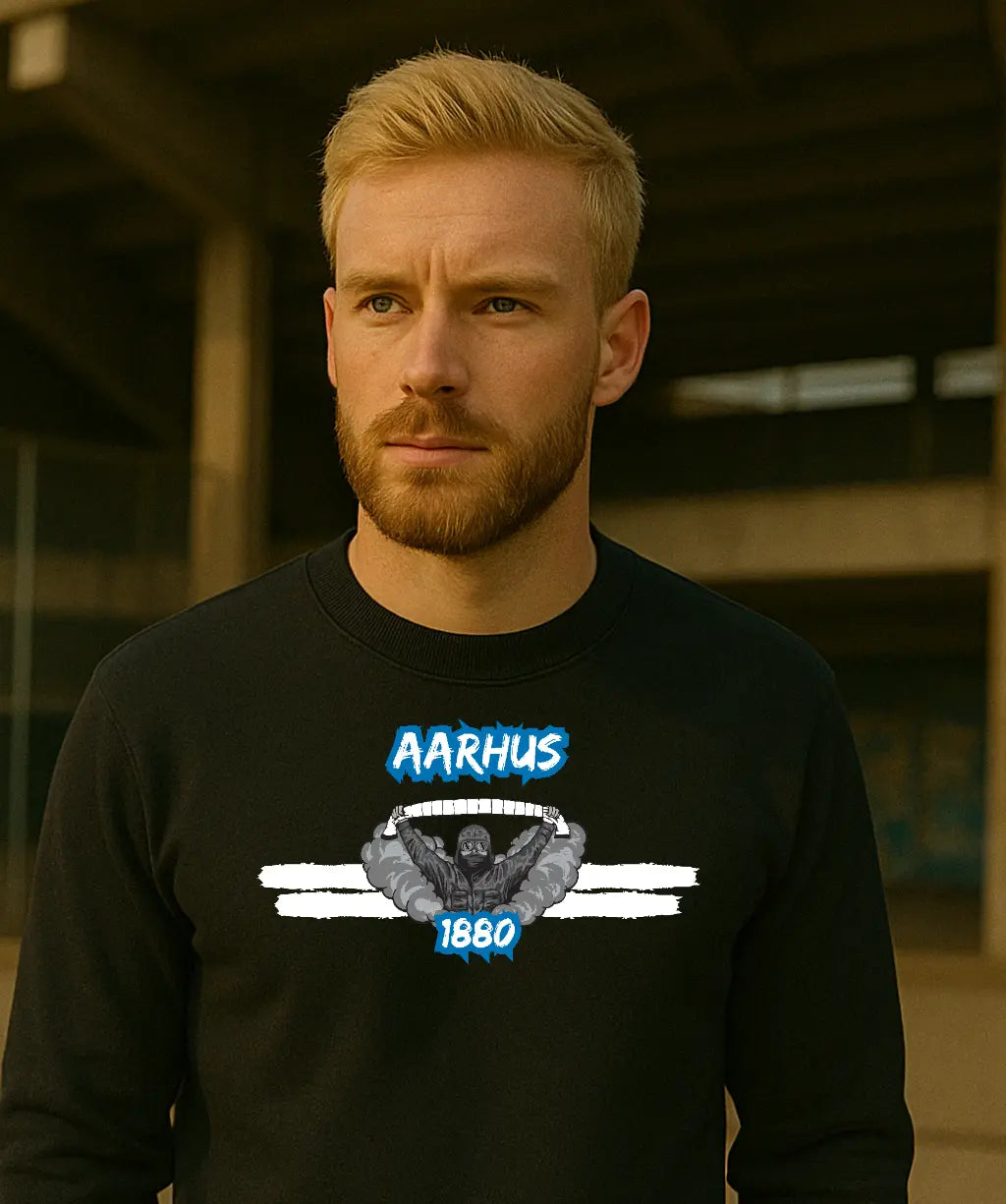 Aarhus - 1880 - Sweater Ultras Culture