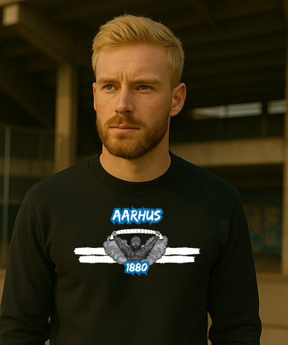 Aarhus - 1880 - Sweater