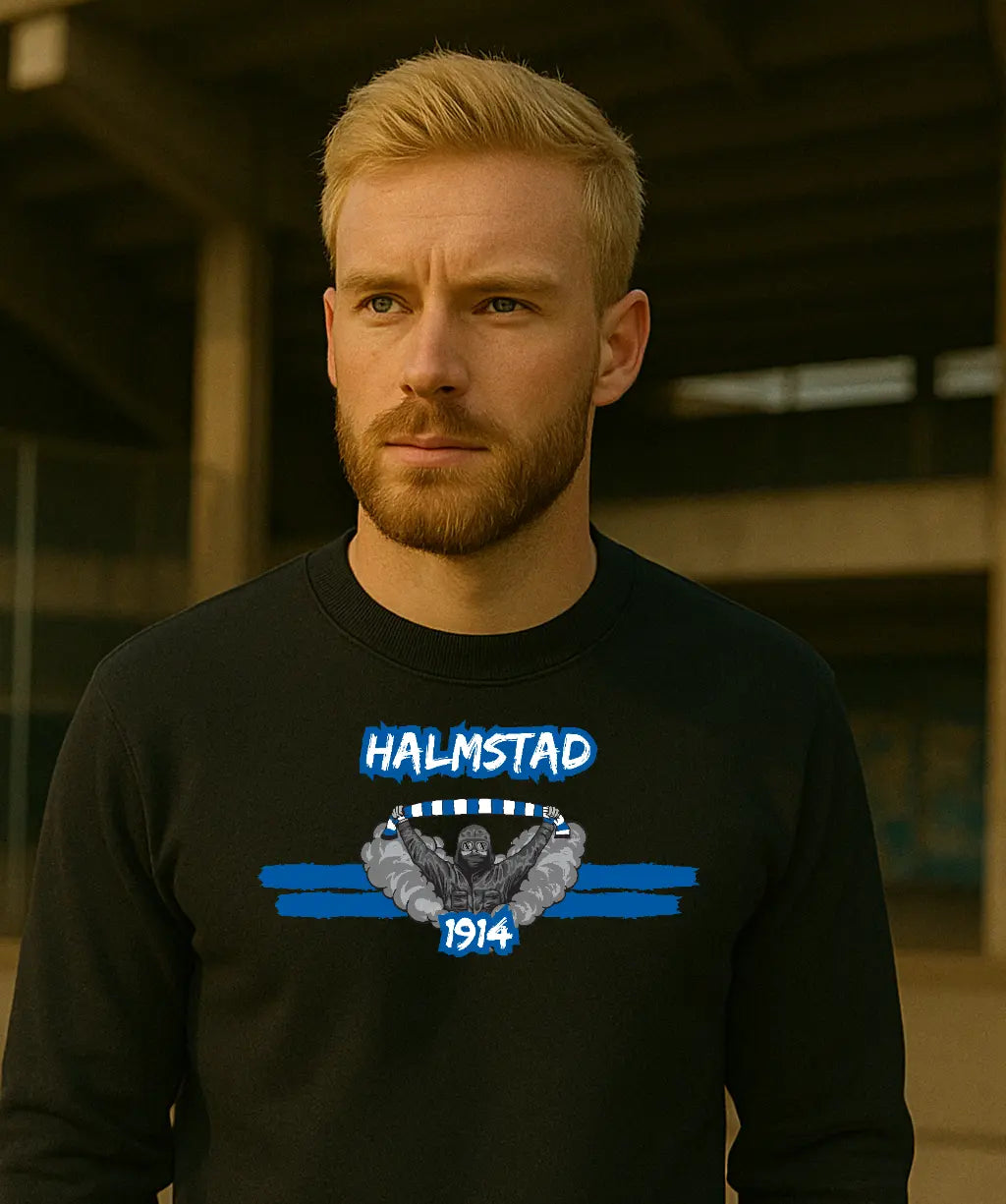 Halmstad Streetwear Kollektion – Kläder & Mer för Supporters – Ultras ...